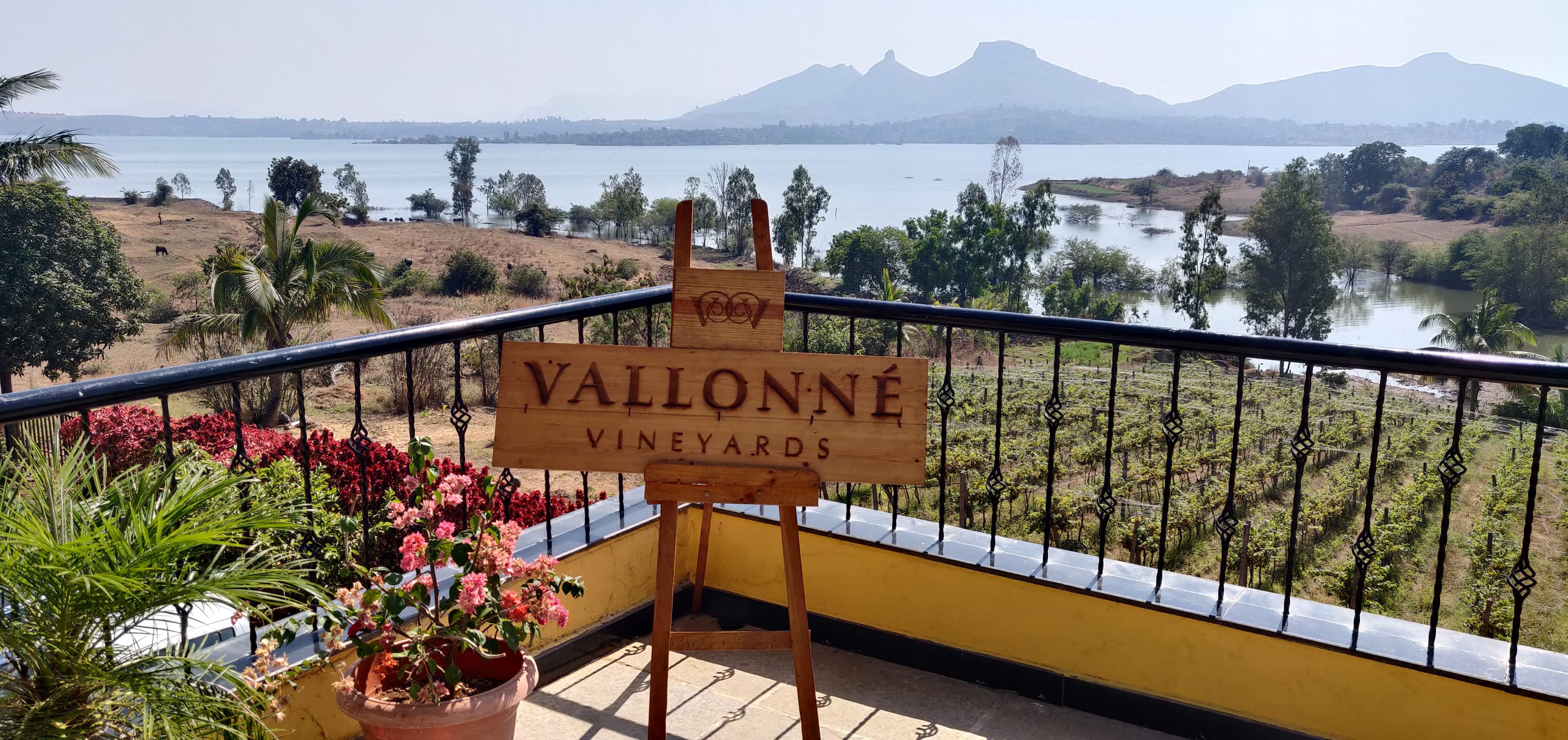 Wine Tour