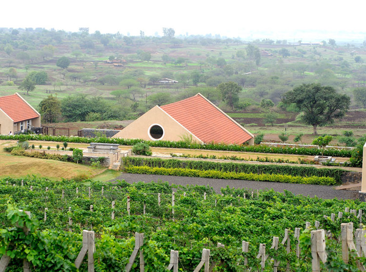 Wine Tour